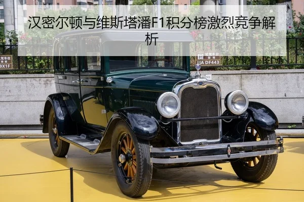 han-mi-er-dun-yu-wei-si-ta-pan-ji-fen-bang-ji-lie-jing-zheng-jie-xi-2-384.jpg